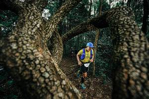 BIB: 
                            <button type="button" onclick="openModal(25393219)" class="btn btn-primary btn-sm float-right btn-popup" data-toggle="modal" data-target=".modal-high-quality">
                        <i class="fas fa-shopping-cart"></i> Add to Cart
                    </button>
                                            <button type="button" onclick="isThisMe(25393219, true)" class="btn btn-success btn-sm float-right btn-popup btn-isme hidden" data-toggle="tooltip" data-placement="bottom" title="นี่คือรูปของคุณใช่ไหม คลิกที่นี่เพื่อเอาเข้าอัลบั้ม">
                        <i class="fas fa-plus"></i> Add to album
                    </button>
                    <button type="button" onclick="isThisMe(25393219, false)" class="btn btn-warning btn-sm float-right btn-popup btn-isnotme hidden">
                        <i class="fas fa-ban"></i> Remove from album
                    </button>